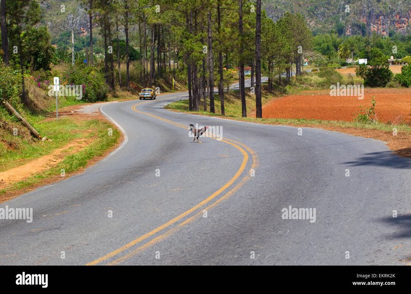 Chicken road españa in Spain