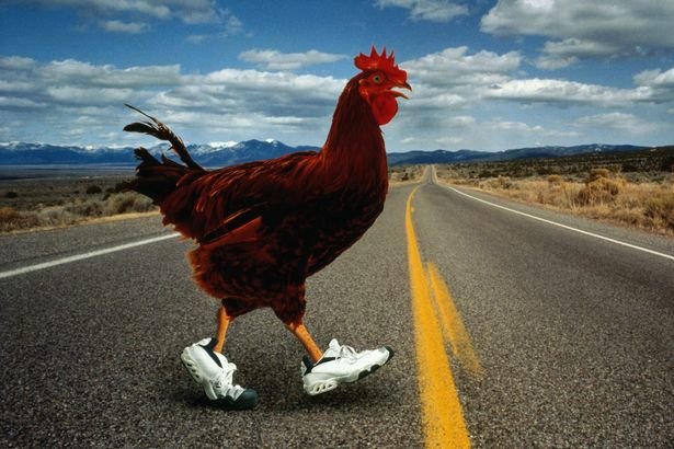 Image: Découvrez le monde excitant de Chicken Road, jeux de casino en ligne populaire